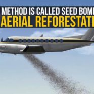 Planes Drop Seed Bombs