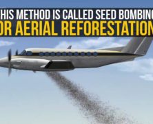 Planes Drop Seed Bombs