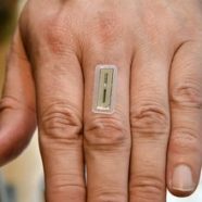 Creepy RFID Chips