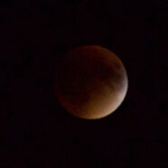 BLOOD MOON ESCLIPSE